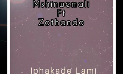 Download Mshinwemali Iphakade Lami EP