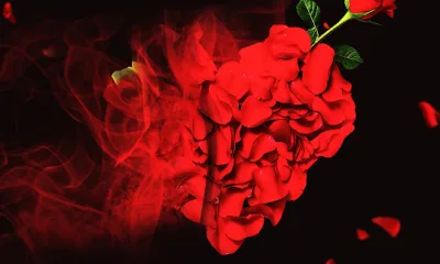 Download Mashudu Thee Last Season Of Love EP