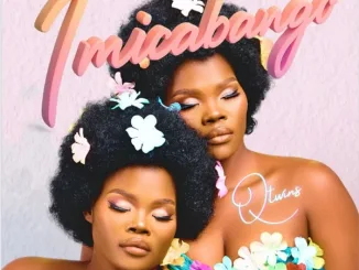 Q Twins – Uthando ft. Naledi Aphiwe Mposa.Co.Za